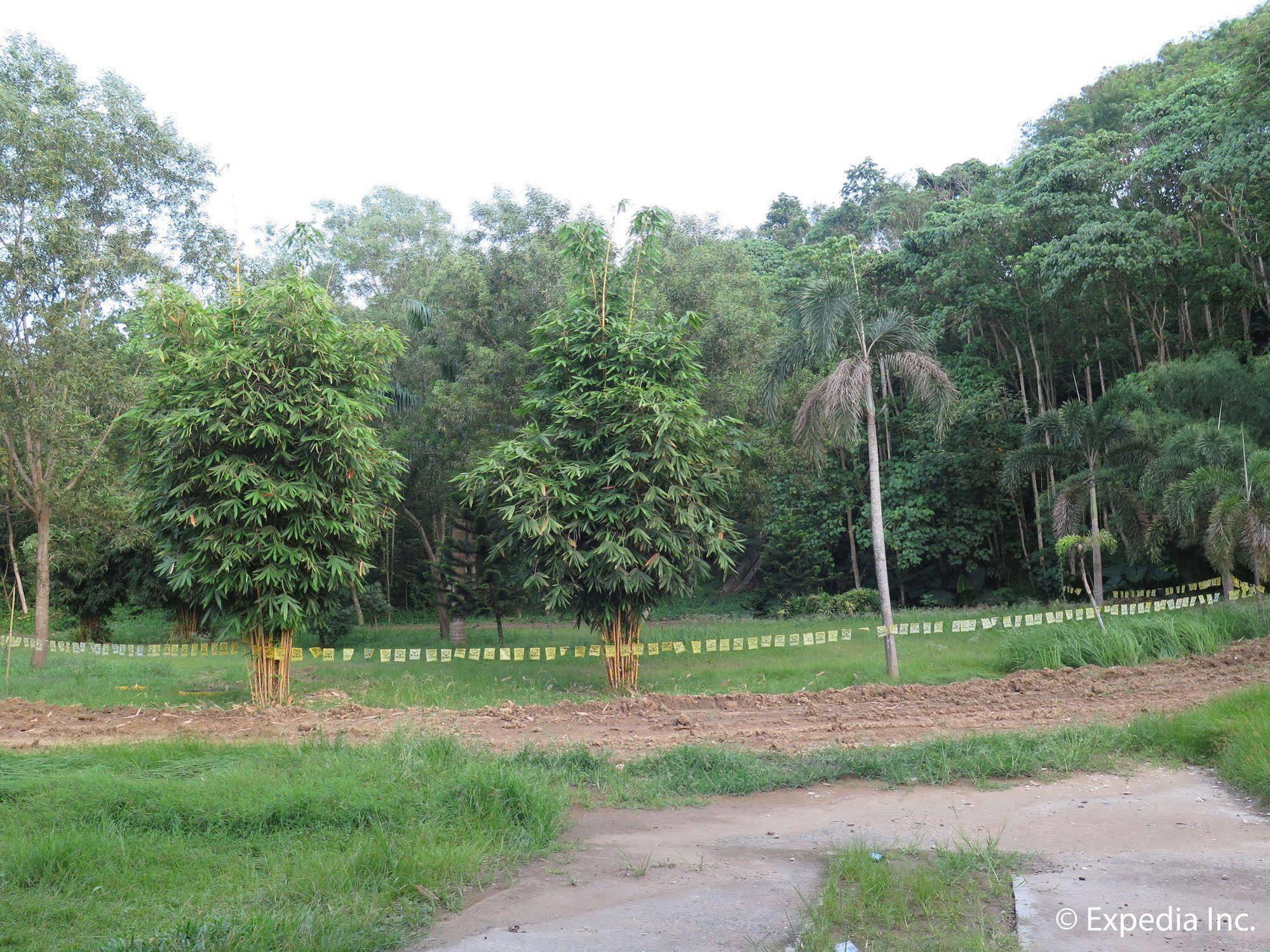 D'Leonor Inland Resort & Adventure Park Davao City Εξωτερικό φωτογραφία